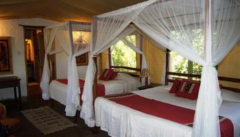 4 Tage/3 Nächte Safari Masai Mara Pur